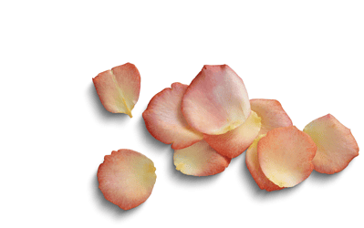 The Pathos of Things